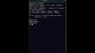 Multiple list Loop - Python Zip Function