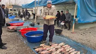 BALIQ NARXLARI ILONBOSH SAZAN OQ BALIQ 2025 YIL