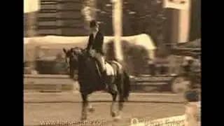 I AM EQUESTRIAN