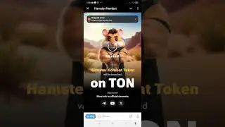 FIX - Request Error Problem Hamster Kombat