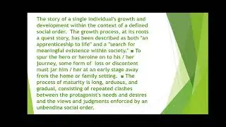 BILDUNGSROMAN