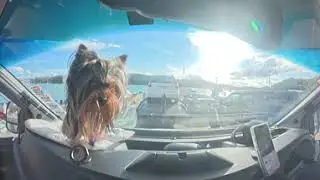 8K 360 View of Opua Fishing Spot #4