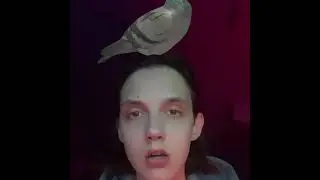 Тима Белорусских - Отпусти (снипет)