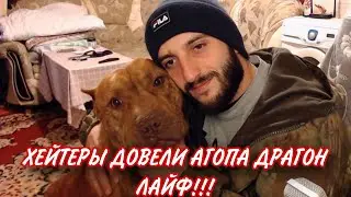 Агопа Питбули Dragon Life довели хейтеры!!!
