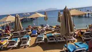 Египет. ОБЗОР ОТЕЛЯ Xperience Sea Breeze Resort 5. Шарм-эль-Шейх
