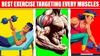 Build Muscle Like a PRO: The Best Exercises for Every Body Part!