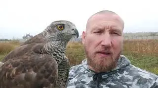 Как отличить 