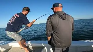 Valhallasent17 hooks into a monster Tarpon pt4