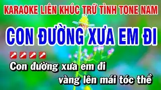 Karaoke Liên Khúc Trữ Tình Tone Nam Nhạc Sống Dễ Hát - Con Đường Xưa Em Đi | Hoài Phong Organ