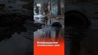 Губернатор Гусев довёл Воронеж до ручки