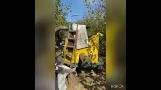 Proceso de cosecha de avellanas en Chile con recolectora tractor hecha en Turquía www.tecnodeliv.cl