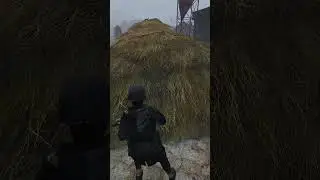 Переиграл в DayZ 