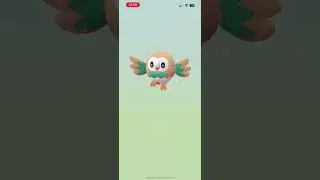 Hatching 8 eggs