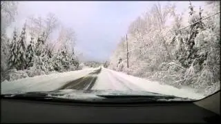 Snow-Laden Trees: a leisurely drive in the countryside