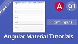 Angular material  form | Angular material form input |Angular tutorials