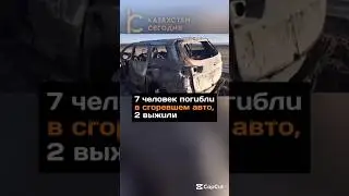 7 человек погибли в сгоревшем авто 