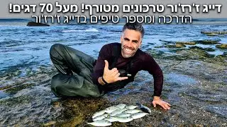 דייג טרכונים בז'רז'ור מעל 70 דגים בדייג מטורף של שעתיים! טיפים איך לדוג אותם והשקת אתר מדהים לדייג