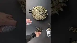 Еластичний Фіксатор для ПНБ та Резинка для Рейок Шолома з Регулюванням
