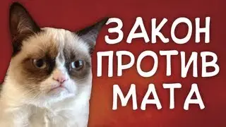 Закон против мата