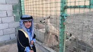 شيخ اسحاق جامع فلوس يريد يسوي المحميه ثيل