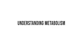 Understanding Metabolism