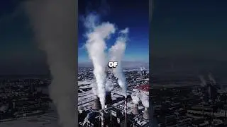 Earth's RISING Temperatures 🌍🔥 | Animal Facts