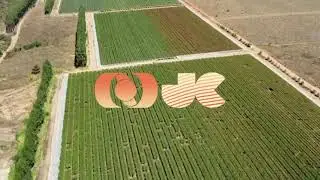 [MONTAGEM] Vinheta do Jornal do Campo TO no Padrão Globo Rural 2021 (2023)