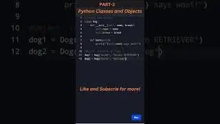 Classes & Objects in Python: Master the Basics of OOP with Fun Examples! 🐶✨ 