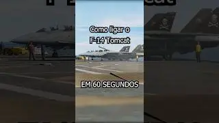 How to start an F-14 Tomcat in 60 seconds 