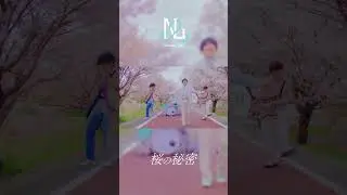 Natural Lag / 「#桜の秘密」Music Video #Natural_Lag #ナチュラグ #shorts
