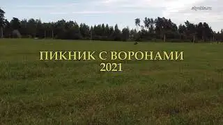 Пикник с воронами 2021