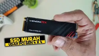 WOW!! Gen4 NVMe SSDs Are Now Cheap! - Venom RX SSD PCIe 4x4 1TB Review