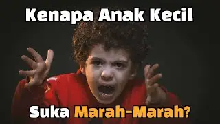 Kenapa Anak Kecil Suka Marah-Marah?