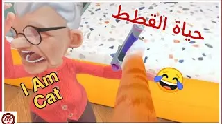 عشت حياة البسس 😂 | I am Cat VR 🐱✨