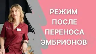 Как вести себя после переноса эмбрионов в программе ЭКО