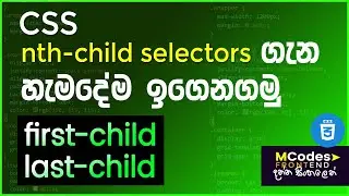 CSS nth child selectors: Complete guide incl. first child & last child