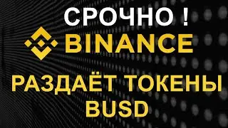 💰 BINANCE РАЗДАЁТ BUSD 👉 НЕ ПРОПУСТИ