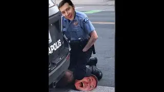 Негра хоронили конкурс от самарского кролика