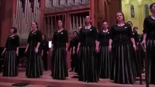 #16 Te Iwi E