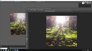 Getting Started With ShaderFX for Maya: #09 - Handling linear workflow with ShaderFX