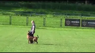 Aneta Migas & Hot vom Zabelstein, IPO III, część B, sędzia: Beata Ryl