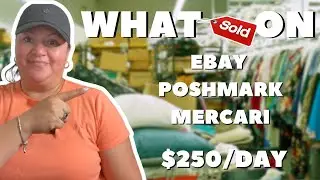 Wha Sold on Ebay Poshmark, Fast Selling Items - Best-Selling Item So Far in 2024