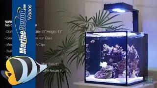 Innovative Marine NUVO Fusion Nano 10 & 20 Aquarium
