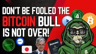 Don't be Fooled, the Bitcoin Bull Market is Not Over!