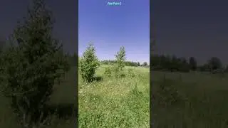 Как записать вертикальное видео на Fimi palm 2? 
