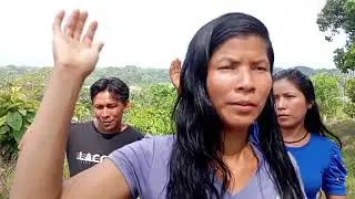 Nuquin Papa Bëdanbo Iquec.. Hablantes Matses CC.NN. Puerto Alegre