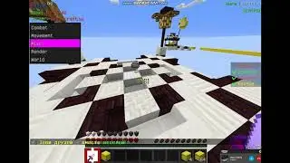 играю с читом flux b13