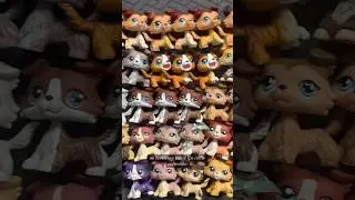 i own EVERY lps collie… | my lps collie collection (part 3/3) #lps #littlestpetshop #lpscollection