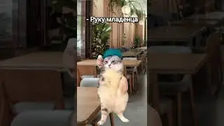 #youtube #рекомендации #популярное #юмор 🤣🤯👌