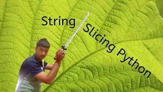 string slicing in python for beginners | advance python topic with ease.